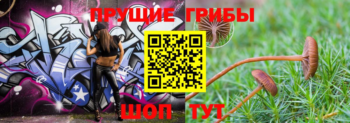 Сорочинск  Галлюциногенные грибы GOLDEN TEACHER  Вход с VPN 