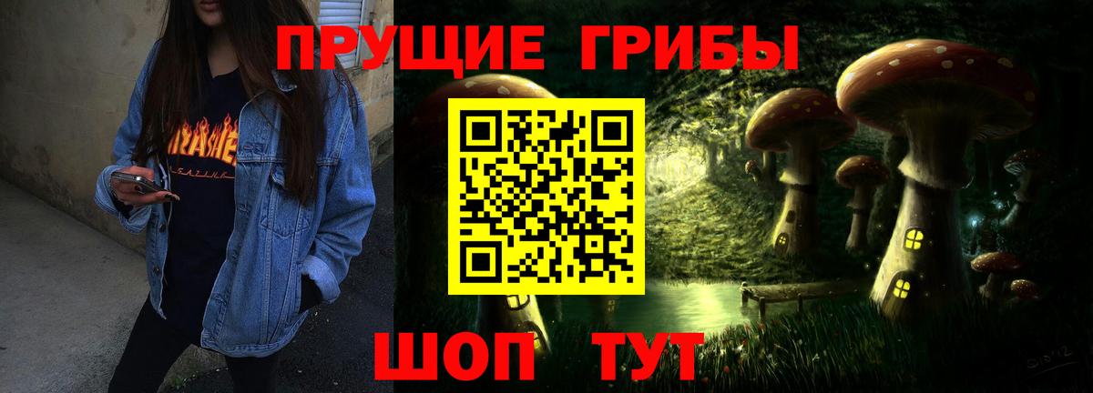 Псилоцибиновые грибы мицелий Сорочинск